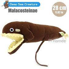Pin On Dog Toys