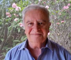 The Lost Boys: A Victorian police procedural, full of suspense: 8 (Esther &  Jack Enright Mystery) : Field, David: Amazon.in: Books