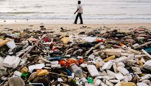 Keterangan gambar, sampah plastik turun ke bagian terdalam laut dunia. 10 Potret Pantai Sampah Di Mumbai India Bukti Kalau Bumi Kita Sedang Sekarat Boombastis