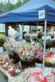 We did not find results for: Grow Flowers For Profit Organic Gardening Mother Earth News