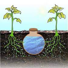 oya 15 choses a savoir sur ce systeme d irrigation par jarre irrigation systeme d irrigation conseil jardinage