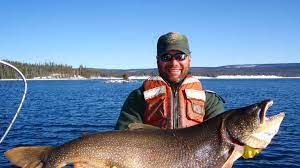 Scientists Invasive Yellowstone Trout In Decline Yellowstone Lake Trout Fishing Trout Lake
