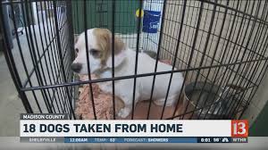 Maybe you would like to learn more about one of these? Madison County Sheriff Calls For Animal Neglect Charges In Alexandria Case Wthr Com