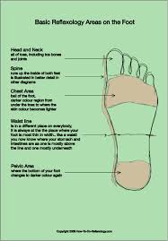 foot reflexology chart complete guide for reflexology foot