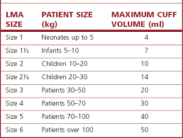 Lma Airway Sizes Related Keywords Suggestions Lma Airway