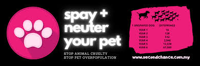 Profit from trades using our values! About Us Second Chance Animal Society Malaysia