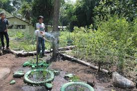 This addition to the junior master gardener series is packed with basic gardening information that includes growing techniques, food safety, healthy eating tips, and nutritious snack food preparation. Teach Kids Nutrition Gardening In Rural Guatemala Globalgiving