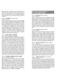 Fichier Pdf Petit Atlas Des Plantes Comestibles Pdf Petit Atlas Des Plantes Comestibles Pdf Pdf Page 15 16 Plantes Comestibles Plante Jardinage