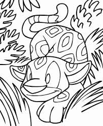 All of the colour has been removed from these images. Neopets Coloring Pages Books 100 Free And Printable