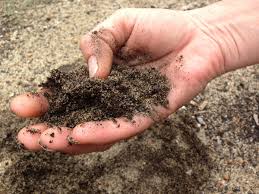 Sand is the largest soil particle, with silt falling in the middle. Know Your Different Types Of Soil To Grow A Beautiful Garden Dengarden