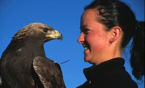 Flying High Over a Hawk's Rescue