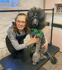 Want to become a professional pet groomer? Macy Kangas Paragon School Of Pet Grooming