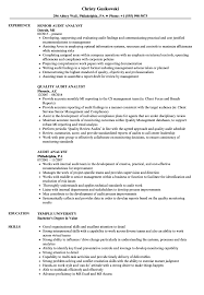 Beginning the audit report beginning the audit report gina taylor auditing acc/546 selina ashworth august 20, 2012 audit engagement letter august 20, 2012 larry lancaster apollo shoes 10253 w. Audit Analyst Resume Samples Velvet Jobs