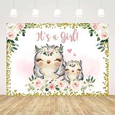 Amazon Com Baby Shower Decorations Owl