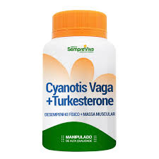 Image result for Cyanotis vaga