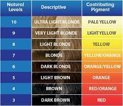 Notice the gradient here—from dark brown to dark red to burnt orange to copper to blonde. No Orange Hair A Guide To Bleaching Correcting Clairol