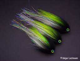 To help newcomers and more experience pike fly fishermen.feel free to… Pike Streamer The One Fly