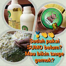 Ukuran 1 cup ini sama dengan 6,5 ons atau 180 gram ya. Membuat Tauge Gemuk Maksimal Dan Taugeh Sumo Malaysia Facebook