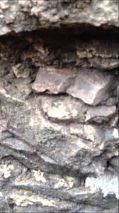 This video shows the fieldstone foundation cleaned and prepped prior to repointing. Pin On Old House Restoring Building Info