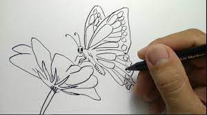 Unduh 640 gambar animasi kartun kupu kupu hd terbaru. Sketsa Kupu Kupu Kumpulan Gambar Dan Cara Menggambar Lengkap