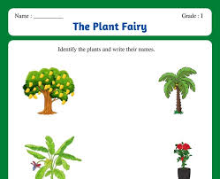 These worksheets aids the students in getting in depth knowledge of the chapters and attain the difficult level of expertise so that going forward they remain well equipped with basic fundamentals of class 3 evs subject. The Plant Fairy Grade 3 Evs Worksheet
