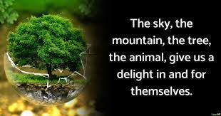 So a great way of doing that is to use these environment quotes to help remind and inspire you to do your part to save the world. World Environment Day Slogans And Quotes Yourselfquotes