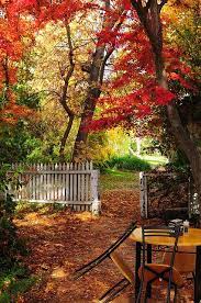 Shop Shut Autumn Scenes Fall Pictures Beautiful Fall