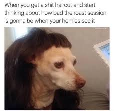 This a new series i'm doing on my channel! When You Get A Shit Haircut And Start Thinking About How Bad The Roast Session Is Gonna Be When Your Homies See It Daily Lol Pics