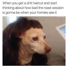 We did not find results for: When You Get A Shit Haircut And Start Thinking About How Bad The Roast Session Is Gonna Be When Your Homies See It Daily Lol Pics