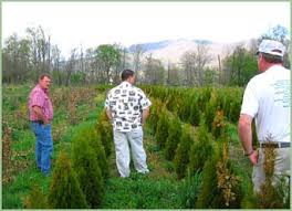 Inman deserts his unit and travels across the south, aiming to return to his young wife, ada, who he left behind to tend their farm. 2006 Recipient Joshua Sorrells Cold Mountain Nursery Wnc Agoptions