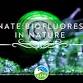 Illuminate: Biofluorescence in nature- RSPB event image