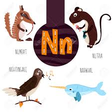 Vettoriale Lettere Animal Fun Dell Alfabeto Per Lo Sviluppo E L Apprendimento Dei Bambini In Eta Prescolare Set Di Foresta Carino Animali Domestici E Marini Con La Lettera N Illustrazione Di Vettore Image
