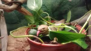 Pet groomer in billings, montana. Exotic Pets Billings Mt Pet Groomer Billings Montana 153 Reviews 1 823 Photos Facebook
