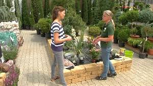 Kiesgarten Anlegen Blatt Und Bluete Tipp Der Gartenwelt Dauchenbeck Youtube