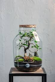 Terrarium Flaschengarten Faunus In 2020 Indoor Pflanzen Dekor Flaschengarten Pflanzen Dekor