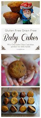 Chocolate Chip Baby Cakes With Coconut Flour Know Gluten
