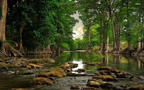 Hemos hecho una colección de los mejores y os los traemos reunidos en un único post. Paisajes Hermosos Fondos De Pantalla Hd Para Pc Paisajes