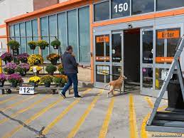 1,100 sqft 1 floor plan. Good Boys Welcome Surprisingly Dog Friendly Spots In Milwaukee