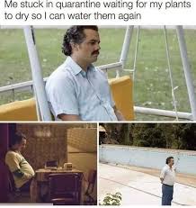 53 Memes To Pass The Time Plant Jokes Humor Gardening Memes