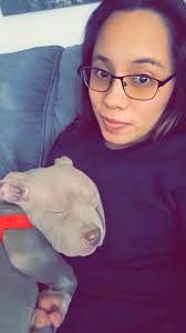 🇺🇸 🇺🇸🇺🇸 my dogs in the world 😍 a beautiful litter I can't wait, info  JuliAnna Juli