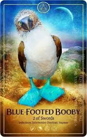 Spirit Animalscopes For November 2019 What Is My Spirit Animal Spirit Totem Power Animals In 2020 Animal Tarot Animal Spirit Guides Spirit Animal