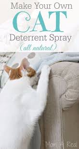 31 Brilliantly Clever Cat Hacks Cat Deterrent Spray Cat Deterrent Cat Hacks