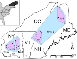 Jayden spreads to show off the creampie! Multiscale Landscape Genetics Of American Marten At Their Southern Range Periphery Heredity