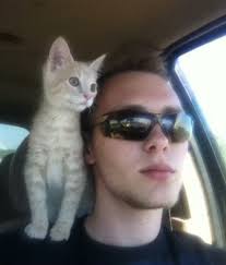 Mitchell Bierman Obituary