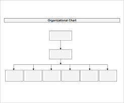 16 detailed fillable organizational chart template