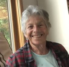 Where to rent or buy a 20 ft container in Dominica?