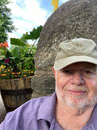 Should I replant a slow growing Ginko tree in a pot or yard?