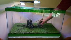 Hardscape aquascape umumnya terdiri dari kayu dan batu. 27 Jenis Tanaman Aquascape Terindah Dengan Perawatan Mudah