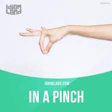 In A Pinch Means Only If Necessary Or As A Substitute Example In A Pinch English Idioms Idioms English Vocabulary