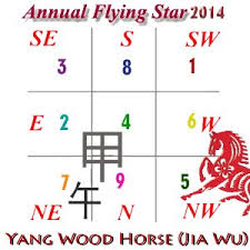 2014 Flying Star Xuan Kong Annual Analysis For Year Of The